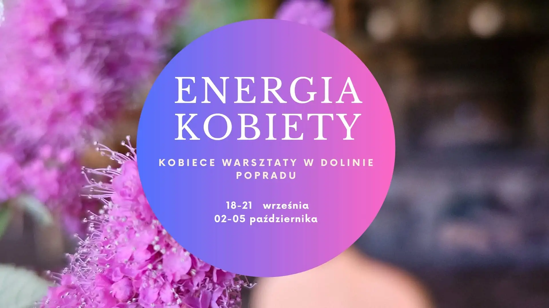 Endorfina Spa Wellness Radom Sauna fit