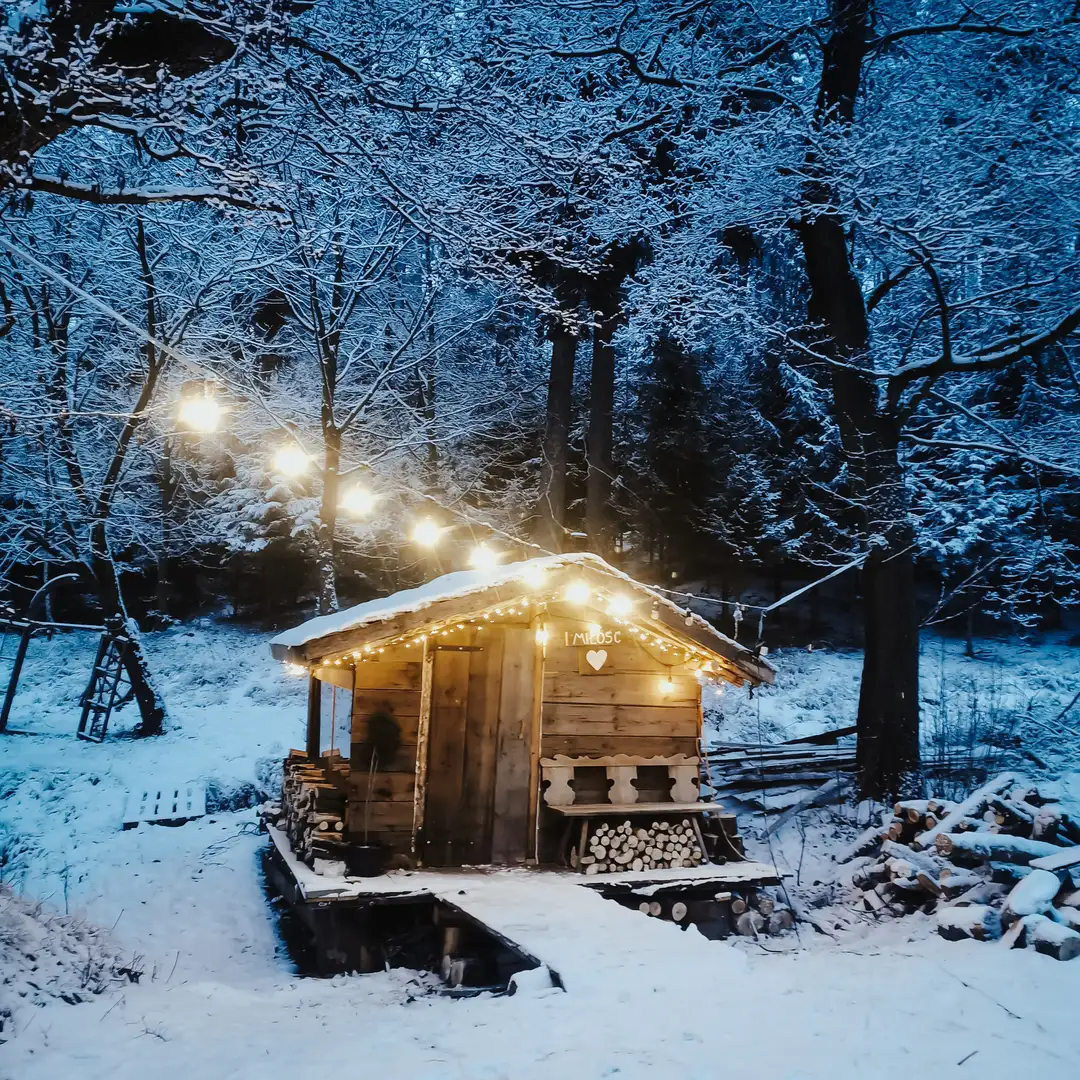 Dzikie Spa, zdjęcie nr 1