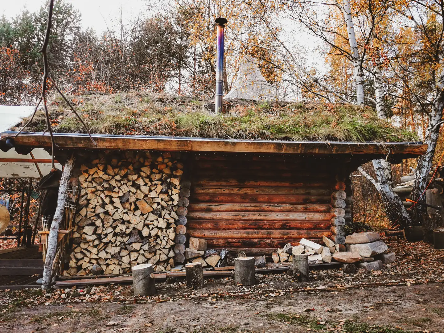 Dzika Sauna, zdjęcie nr 2