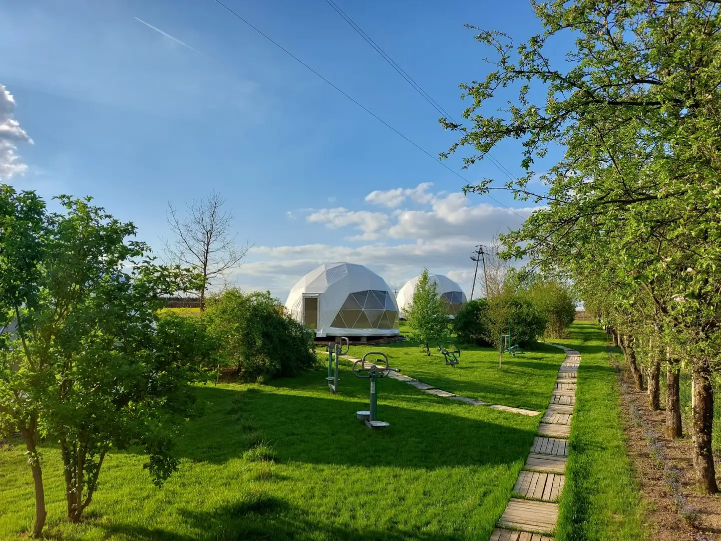 Glamping Stacja Zieleniec, zdjęcie nr 2