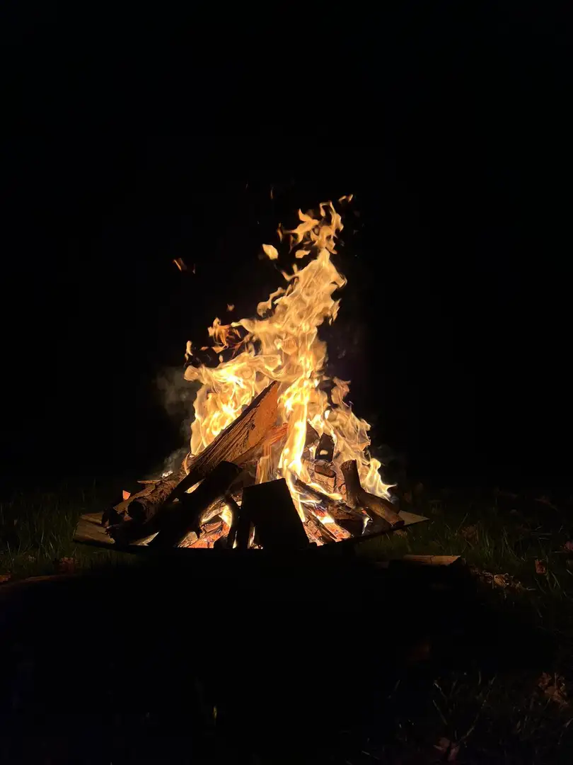 Glamping Stacja Zieleniec, zdjęcie nr 4